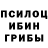 Псилоцибиновые грибы мухоморы Vasya Galstyk