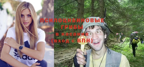 индика Алзамай