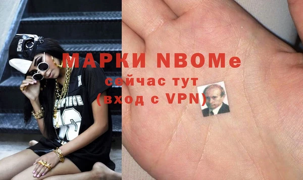 индика Алзамай